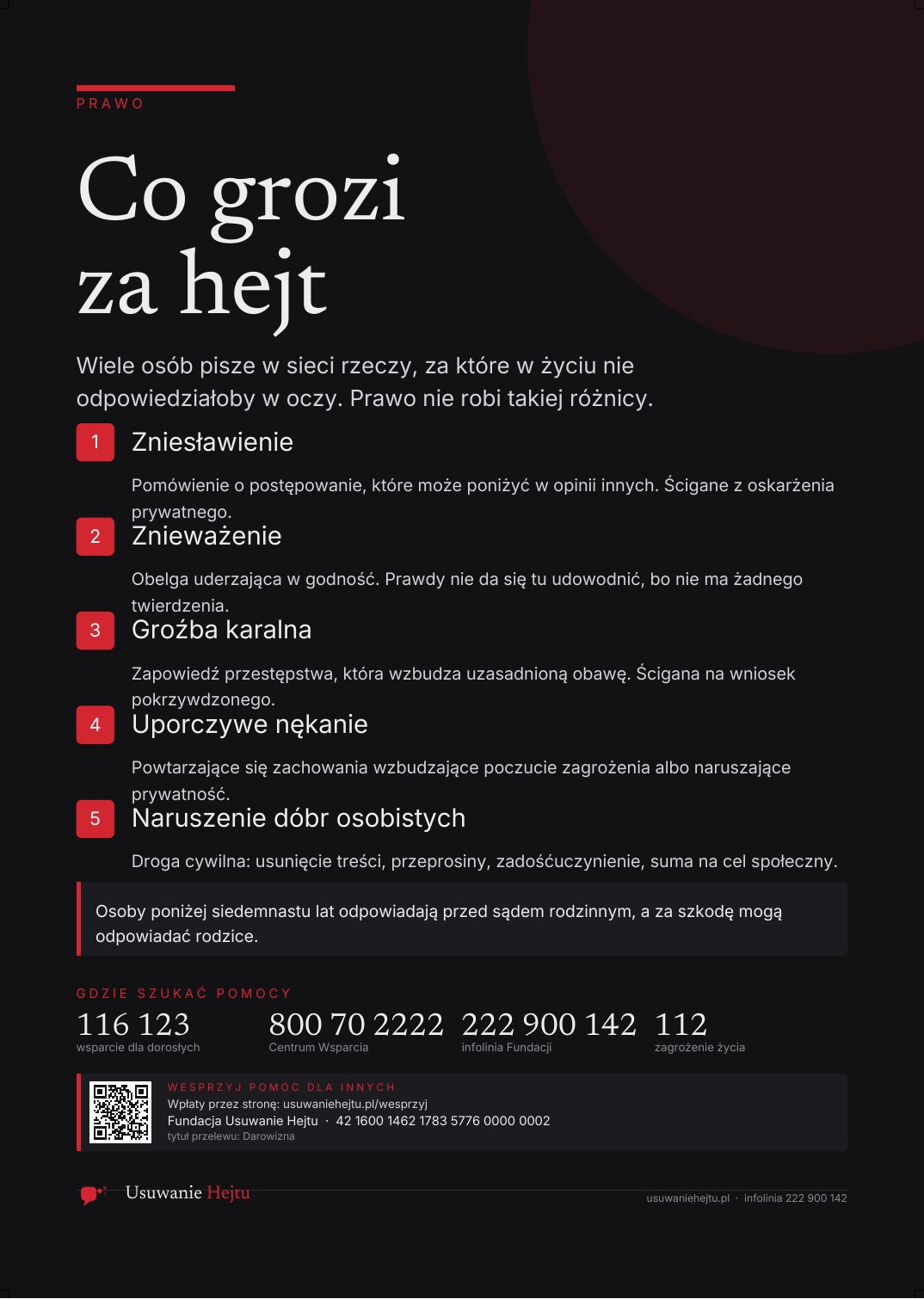 Podgląd: Co grozi za hejt